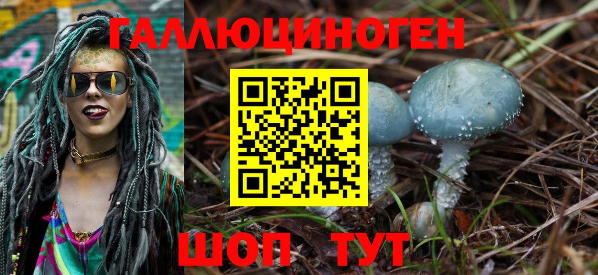 Димитровград  Галлюциногенные грибы Magic Shrooms  Вход с VPN 