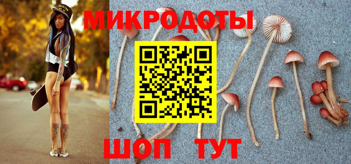 Псилоцибиновые грибы Magic Shrooms Димитровград